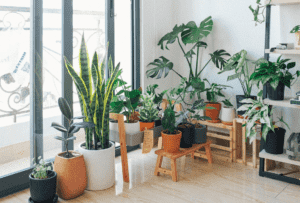 Home Page 11 Best Indoor Garden Ideas