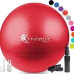 Smarterlife Products Exercise Ball