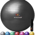 Wacces Professional Exercise Ball