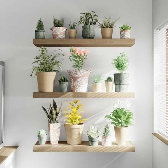 Decorative Plant Shelves