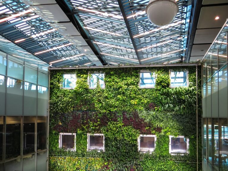 Introduce a Living Wall