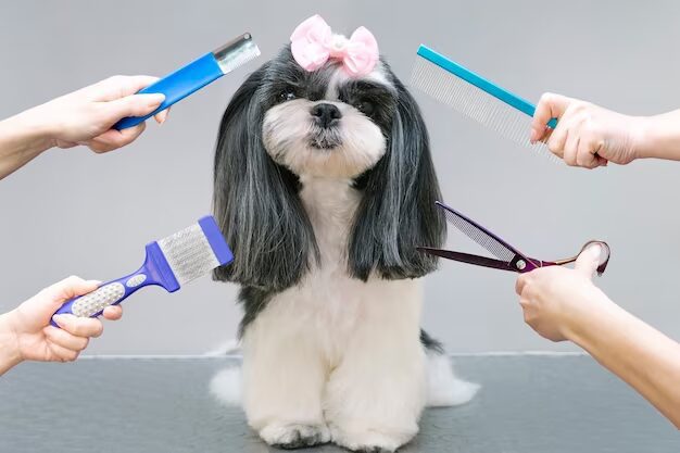 Understanding the Importance of Doggie Style Pet Grooming